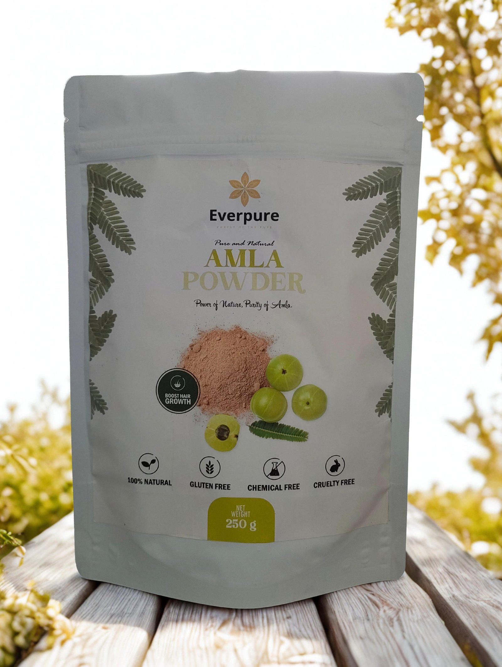 Amla Powder